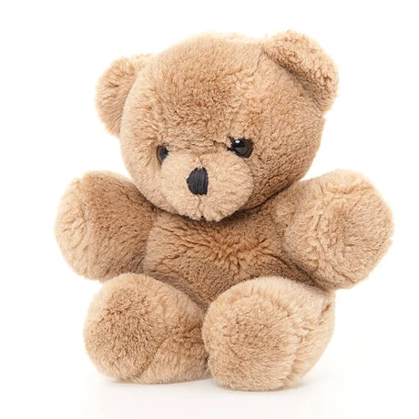 Teddy Bear Teddy Bear